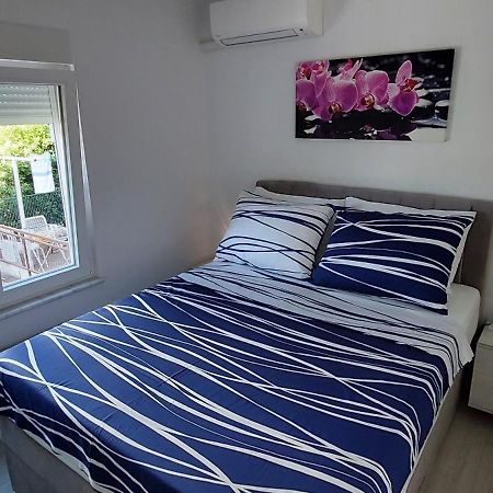 Apartman Perunika 塞尔瑟 外观 照片