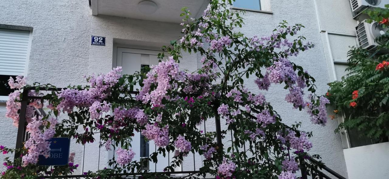 Apartman Perunika 塞尔瑟 外观 照片