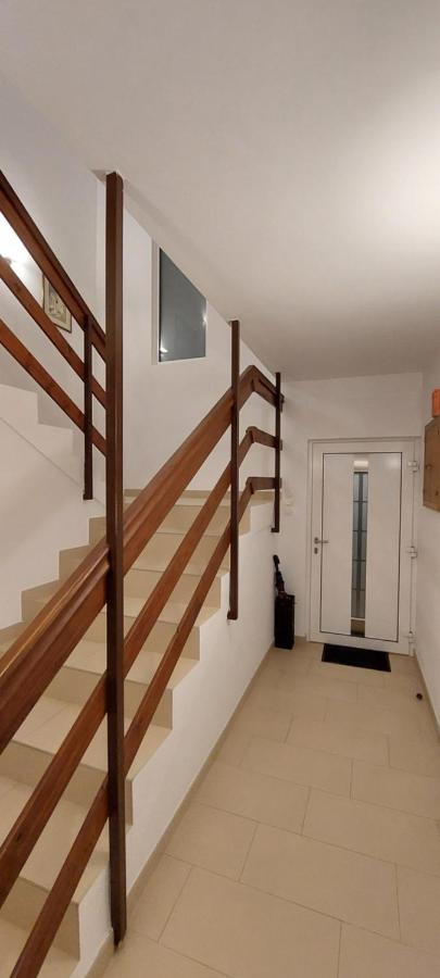 Apartman Perunika 塞尔瑟 外观 照片